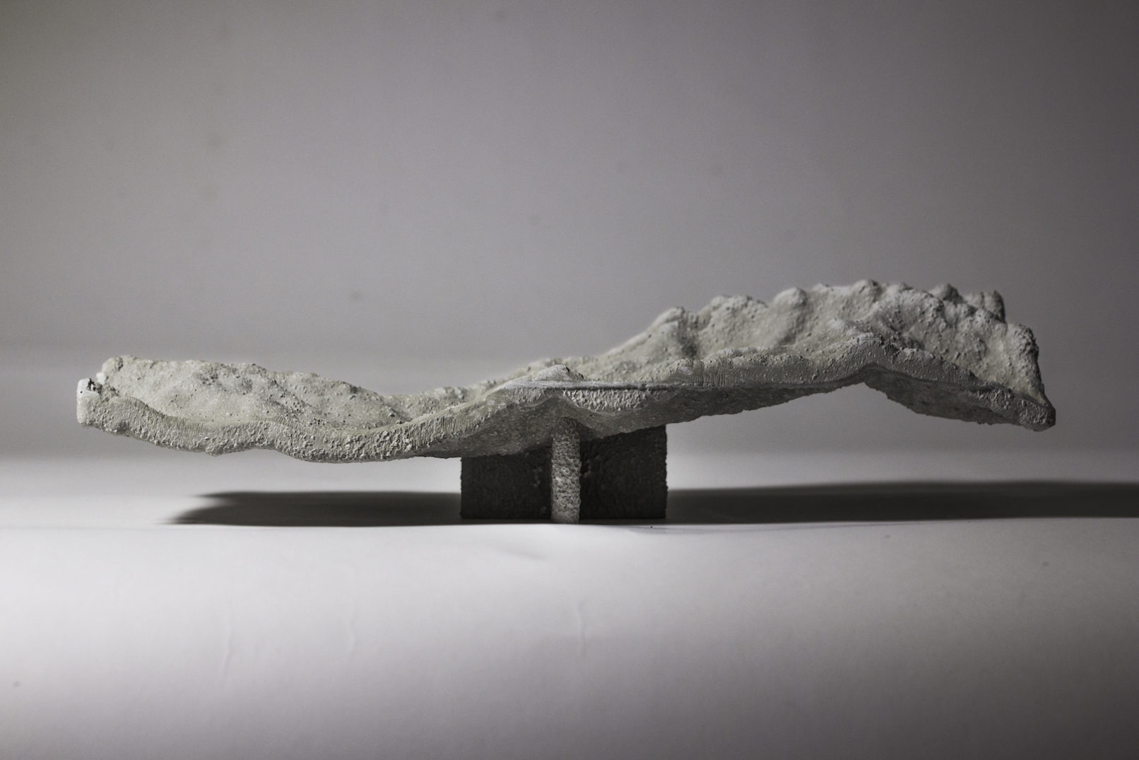 NAMCHA BARWA RISES 4100 METERS ABOVE YARLUNG TSANGPO RIVER